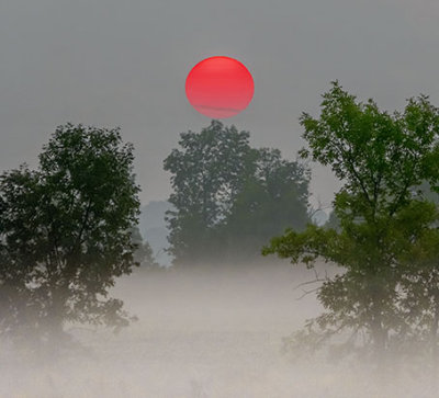 Red Sun Rising Balancing Act P1070843