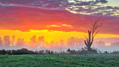 Misty Sunrise 20140824