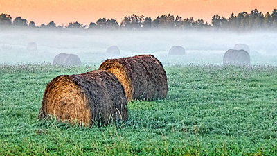 Bales In Misty Sunrise 20140917