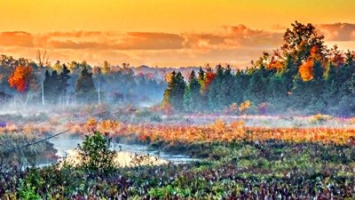 Autumn Wetlands At Sunrise P20140926