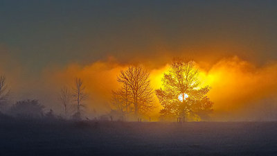 Fog At Sunrise P1000926