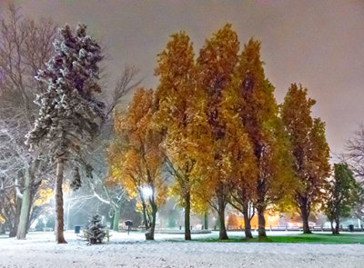 Snowy Confederation Park 20141117