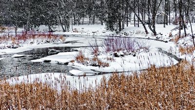 Wintry Otter Creek P1040086