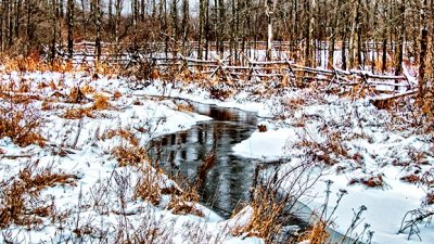 Wintry Hutton Creek 20141213