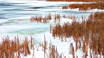 Otter Creek Grass, Snow & Ice 20141216
