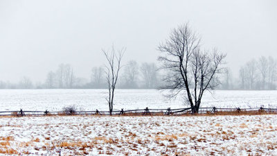 Winter Landscape 20141223