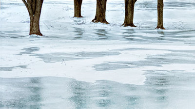 Reflections On Ice 20150106