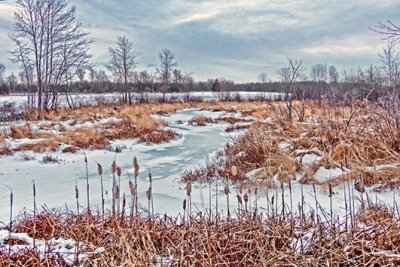 Winter Hutton Creek 20150107