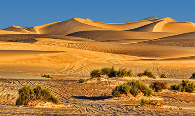 Imperial Sand Dunes 26531