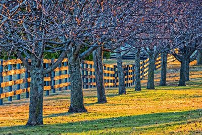 Horse Farm Fence At Sunrise 20150419