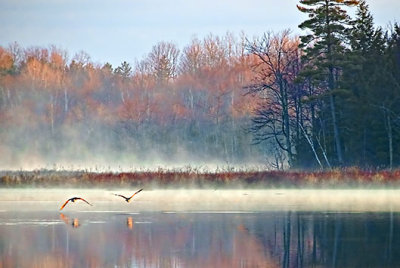 Otter Lake At Sunrise DSCF01071