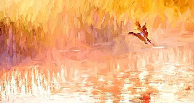Duck Taking Flight In Sunrise Mist 'Art' P1130303