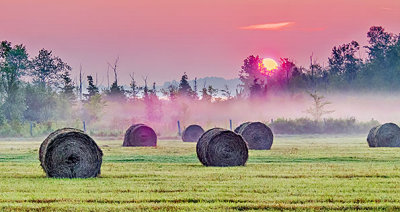Bales In Misty Sunrise P1160856-8