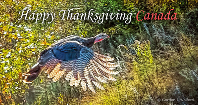 Happy Thanksgiving Canada P1200411