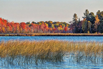Autumn Otter Lake DSCF4993