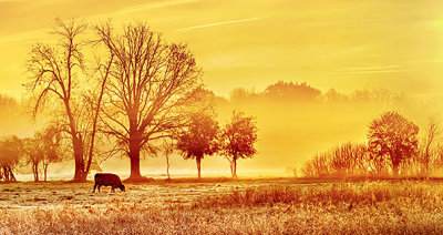 Sunrise Pasture P1210133-5