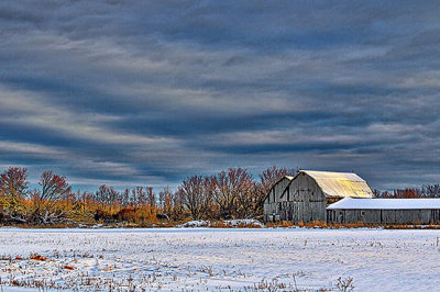 Winter Barns 48043-5