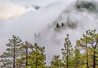 Yosemite Fog 22845