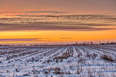 Winter Field Near Sunrise P1230884-6