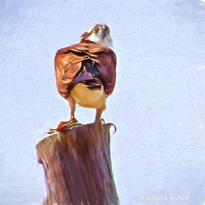 Osprey On A Pole 'Art' S0036931