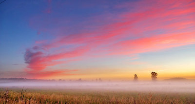 Sunrise Ground Fog P1090357