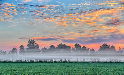 Ground Fog At Sunrise P1090745-7