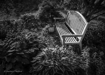 Garden Bench DSCF21545-7