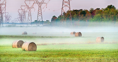 Bales In Ground Fog P1100676