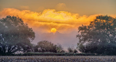 Fogged Sunrise P1110888-93