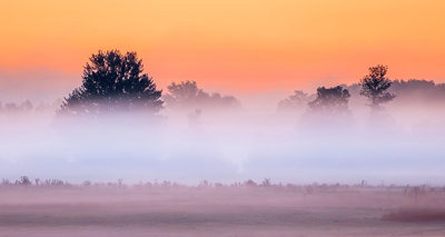 Ground Fog At Sunrise P1110799
