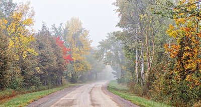Foggy Autumn Back Road P1130219