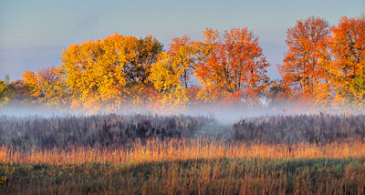 Autumnscape P1130337-9