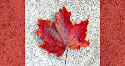 Red Maple Leaf DSCF23422