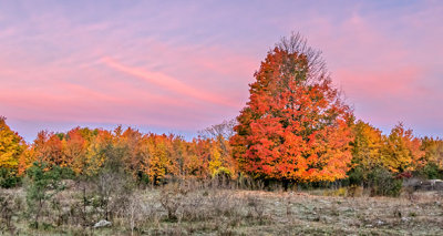 Autumnscape At Sunrise P1140118-20