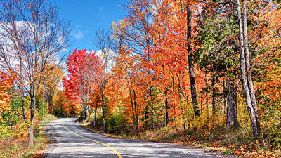 Autumn Back Road P1140539-41