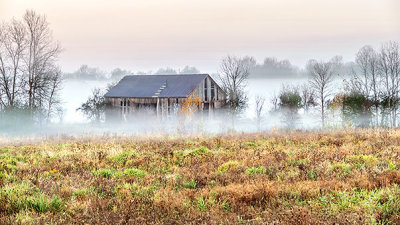 Old Barn In Ground Fog P1150047