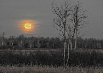 20161114 Supermoon Setting Over The Swale DSCN00784-5