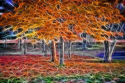 Natural Neon Autumn Trees P1150168