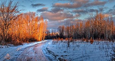 Winter Lane At Sunrise P1170381-3