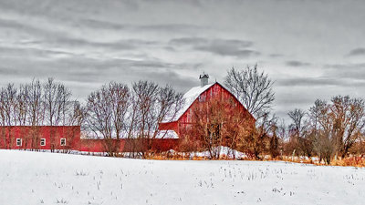 Red Barn In Winter P1170766-8