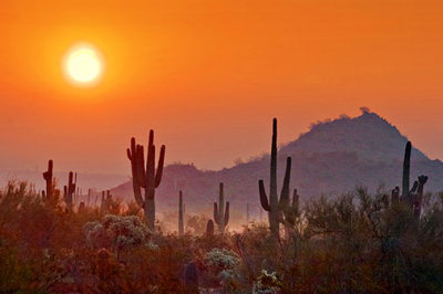 Desert Sunrise 20080110