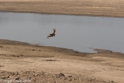 g9/75/534675/3/164305754.YRbjCqpM.jpg