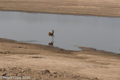 g9/75/534675/3/164305755.ixMO8kVh.jpg