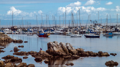 Monterey Bay Harbor