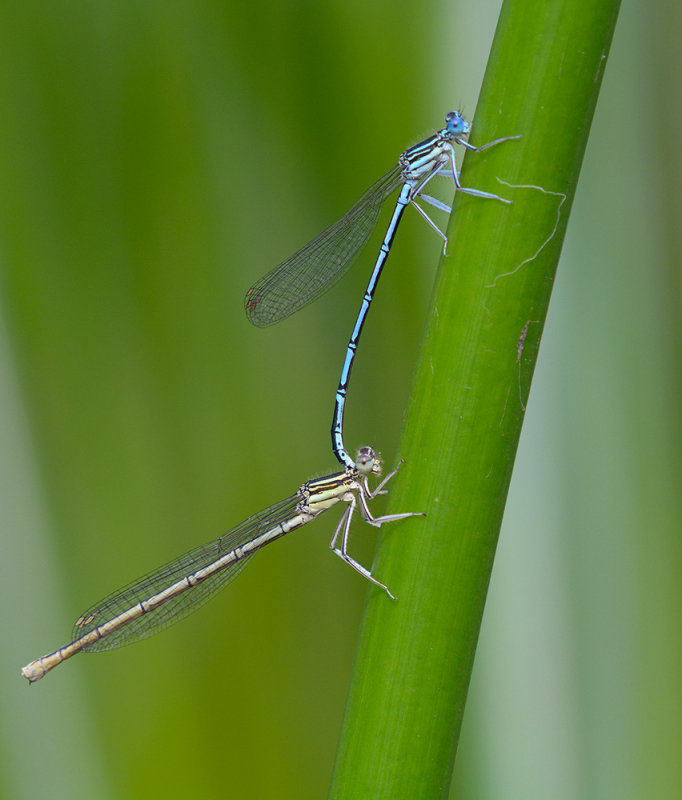 DSC_6408.jpg