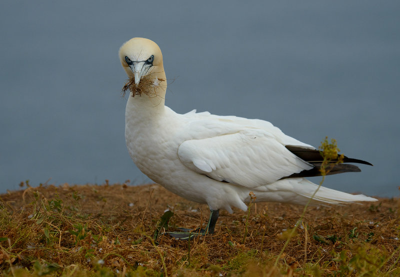 DS2_8204.jpg