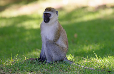 DSC_3449.jpg