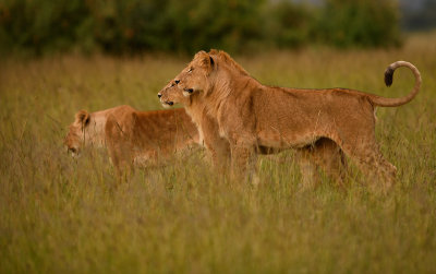 DSC_4409.jpg