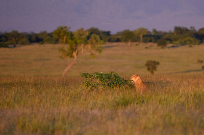 DSC_4451.jpg