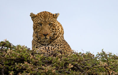DSC_4816.jpg